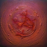 Year of Lobster / Год Лобстера / 2012  / Acrylics on canvas / 100х100см